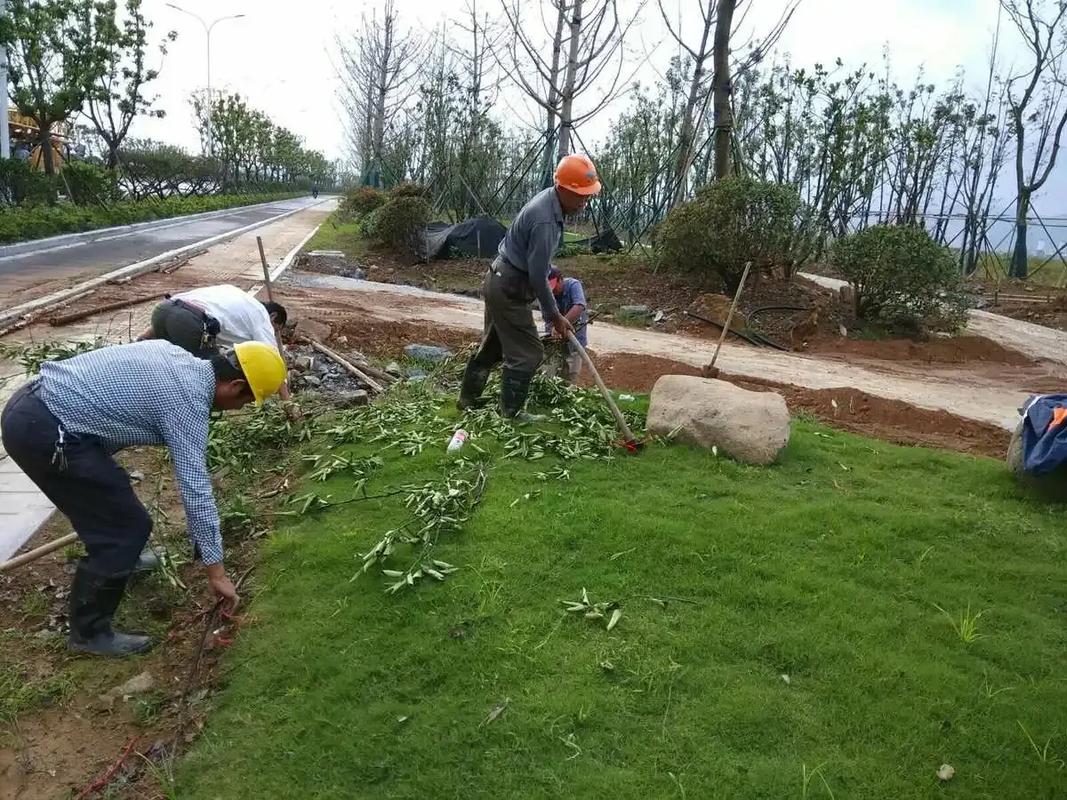 景觀綠化工程.景觀綠化工程別墅庭院造景,以自然為畫布,打造獨