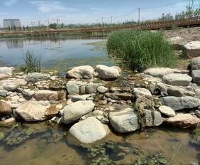 蘭州園林景觀工程預(yù)計(jì)年底全面完工，城市顏值再提升